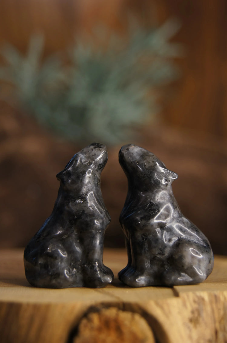 Larvikite Wolf