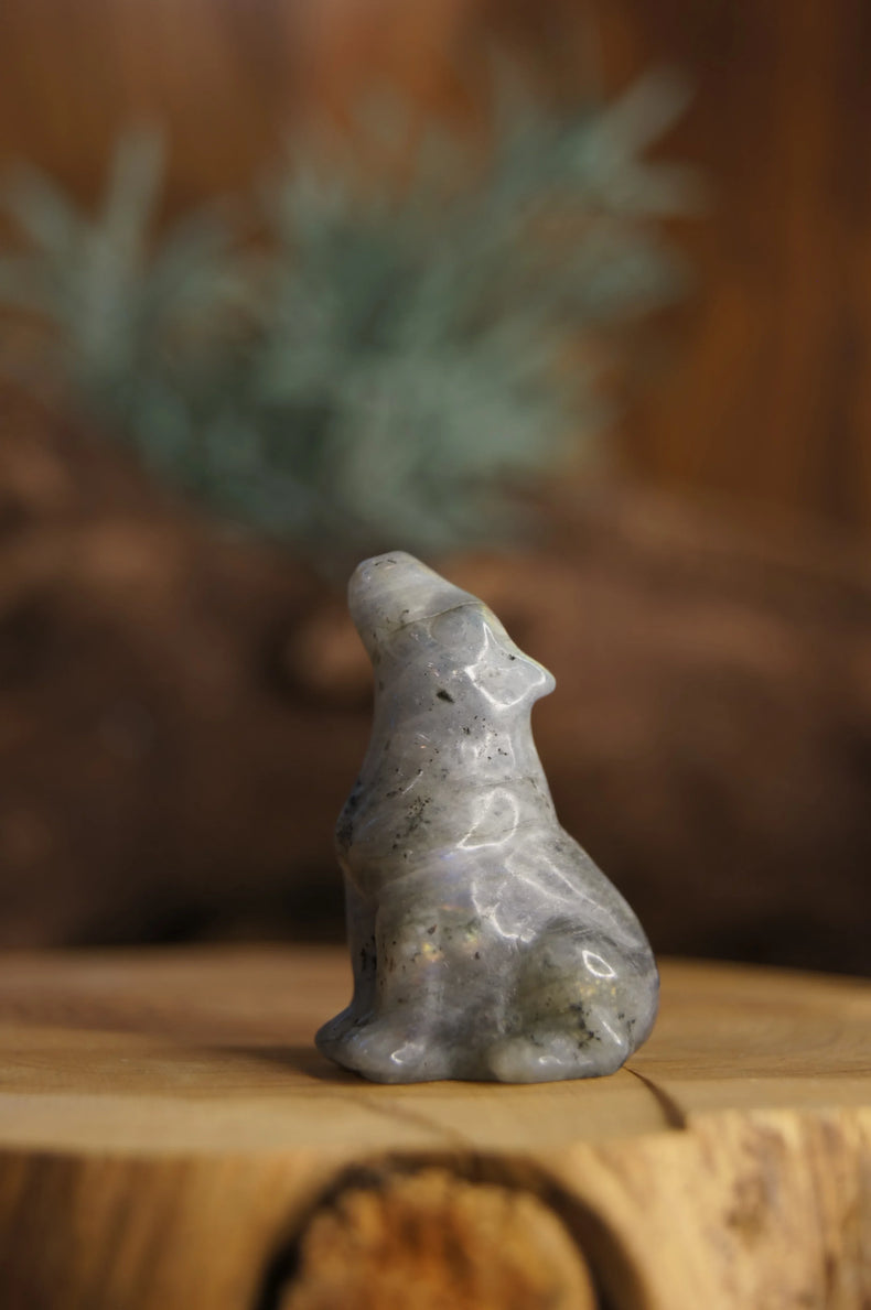 Labradorite Wolf