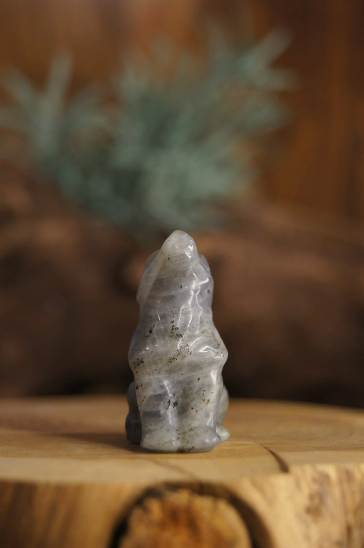 Labradorite Wolf