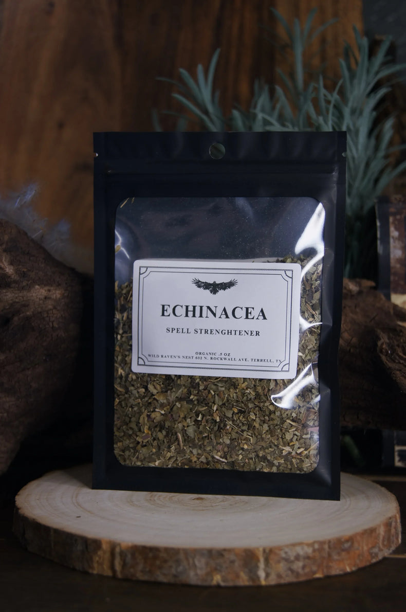 Echinacea | Energetic Defense & Strengthened Boundaries