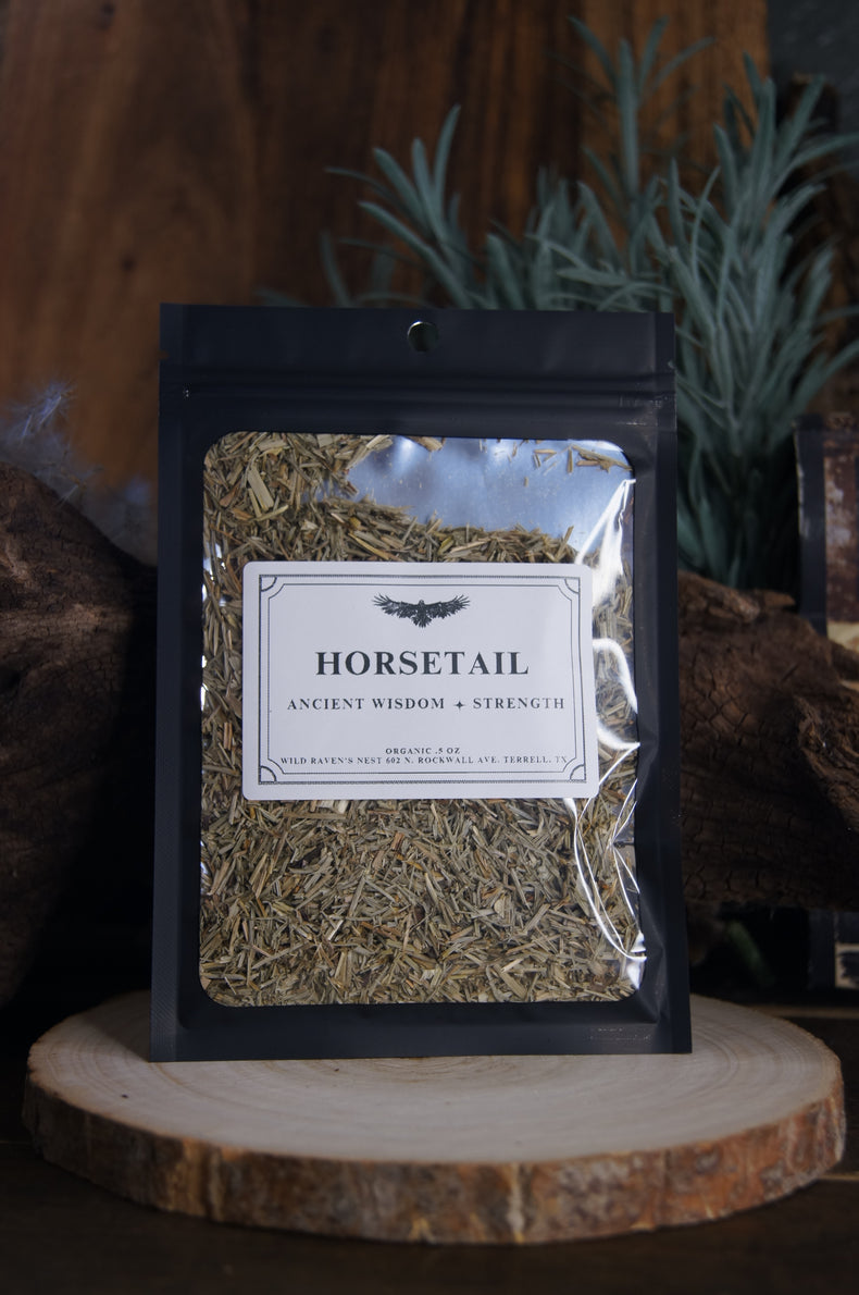 Horsetail Herb | Silica-Rich Support for Hair, Bones & Ritual Baths