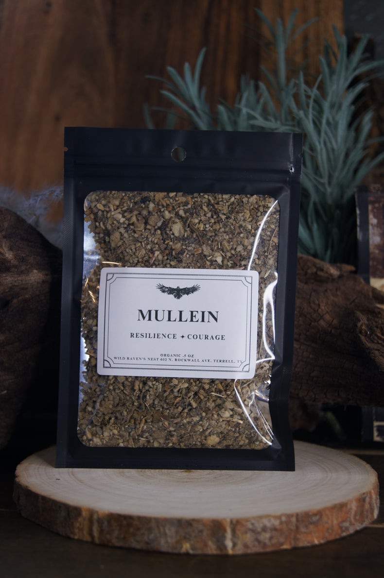 Mullein | Spirit Work & Protection