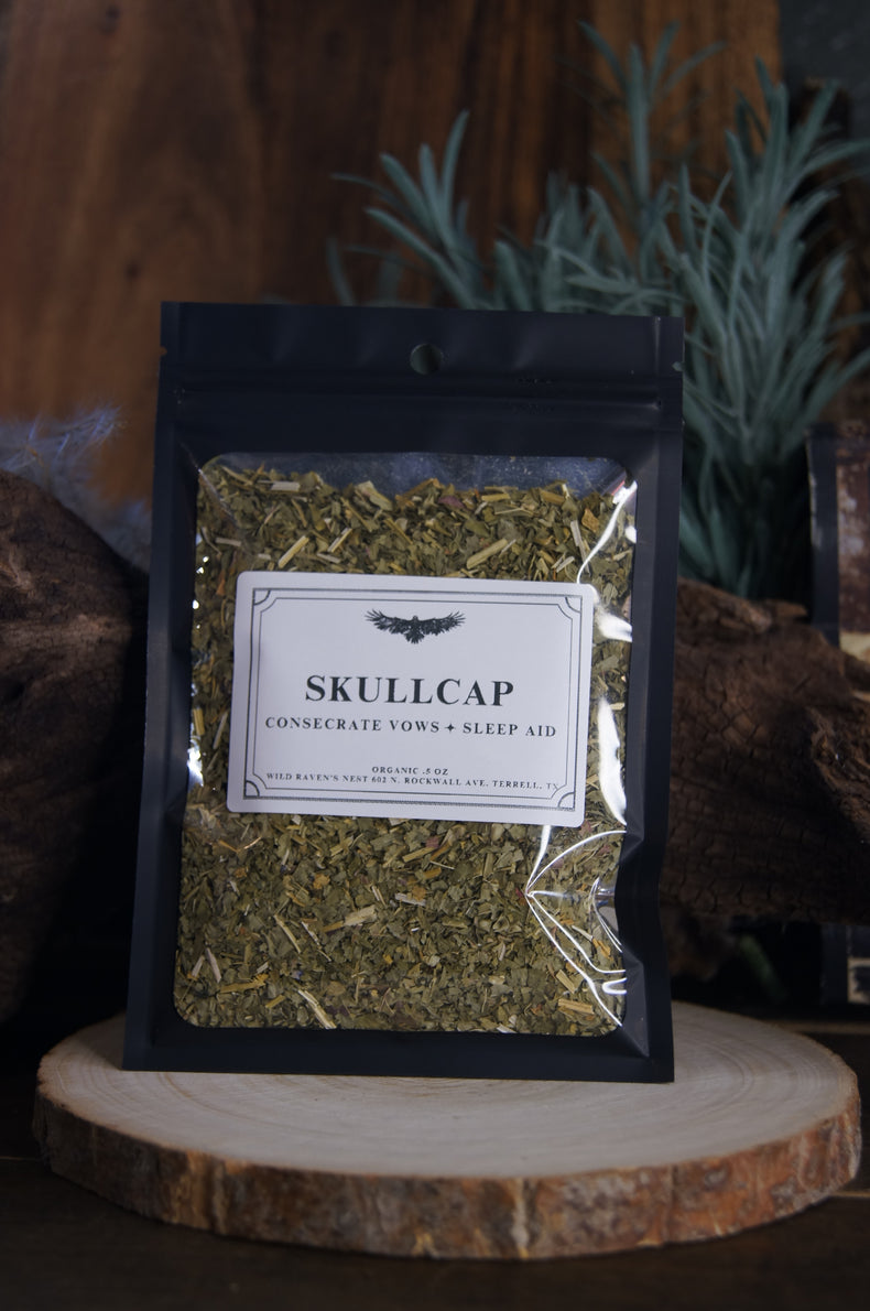 Skullcap | Calm Mind & Magical Boundaries
