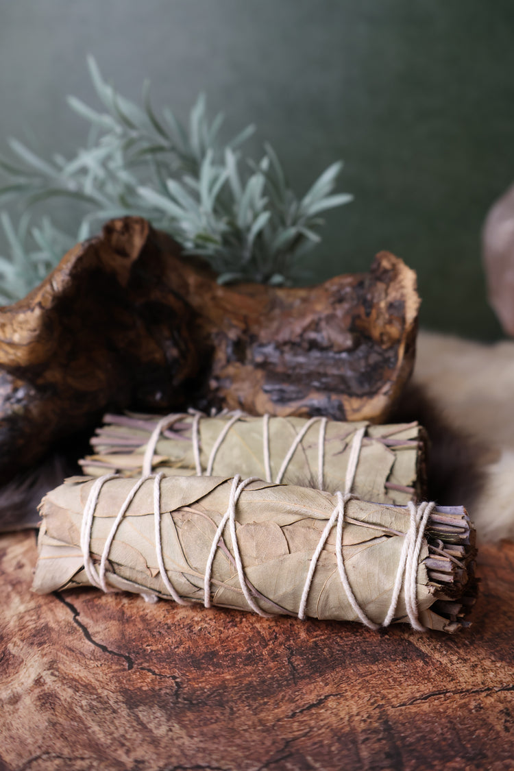 Eucalyptus Bundle 4" | Clear the Air & the Head