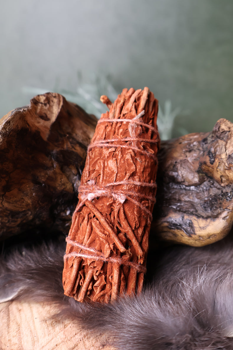 Dragon's Blood Sage Bundle 4" | Amplify the Working