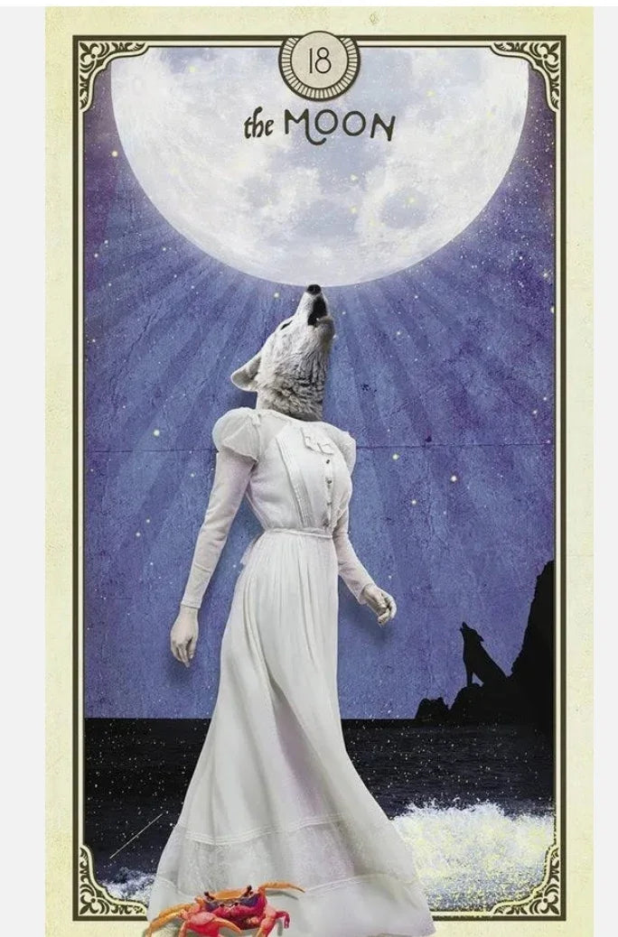 Curious Creatures - Tarot Deck