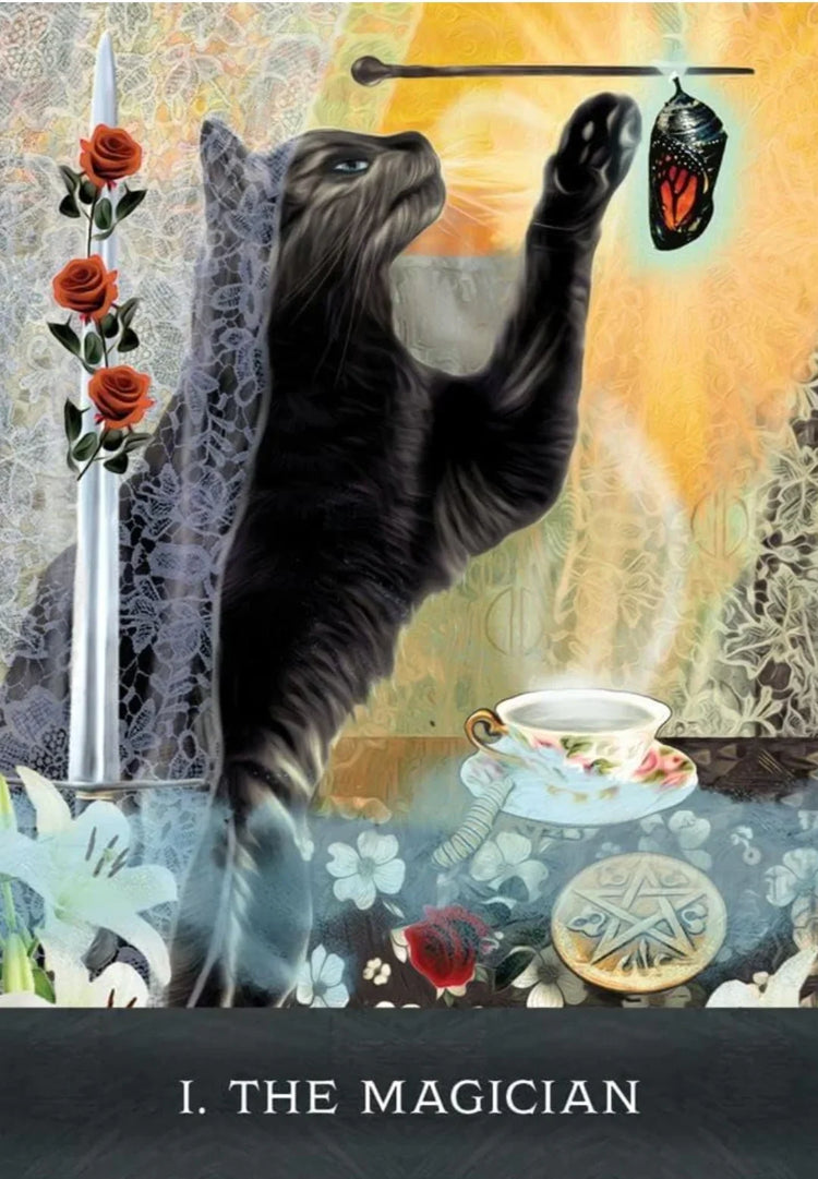 Curious Cats Tarot - Tarot Deck