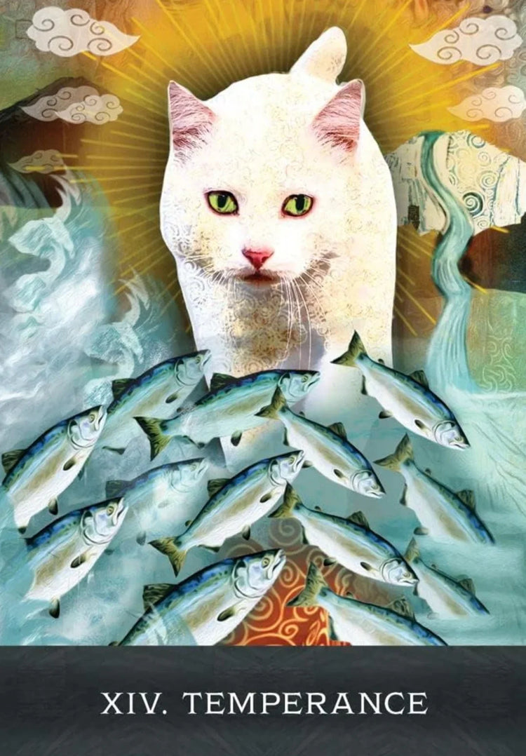 Curious Cats Tarot - Tarot Deck