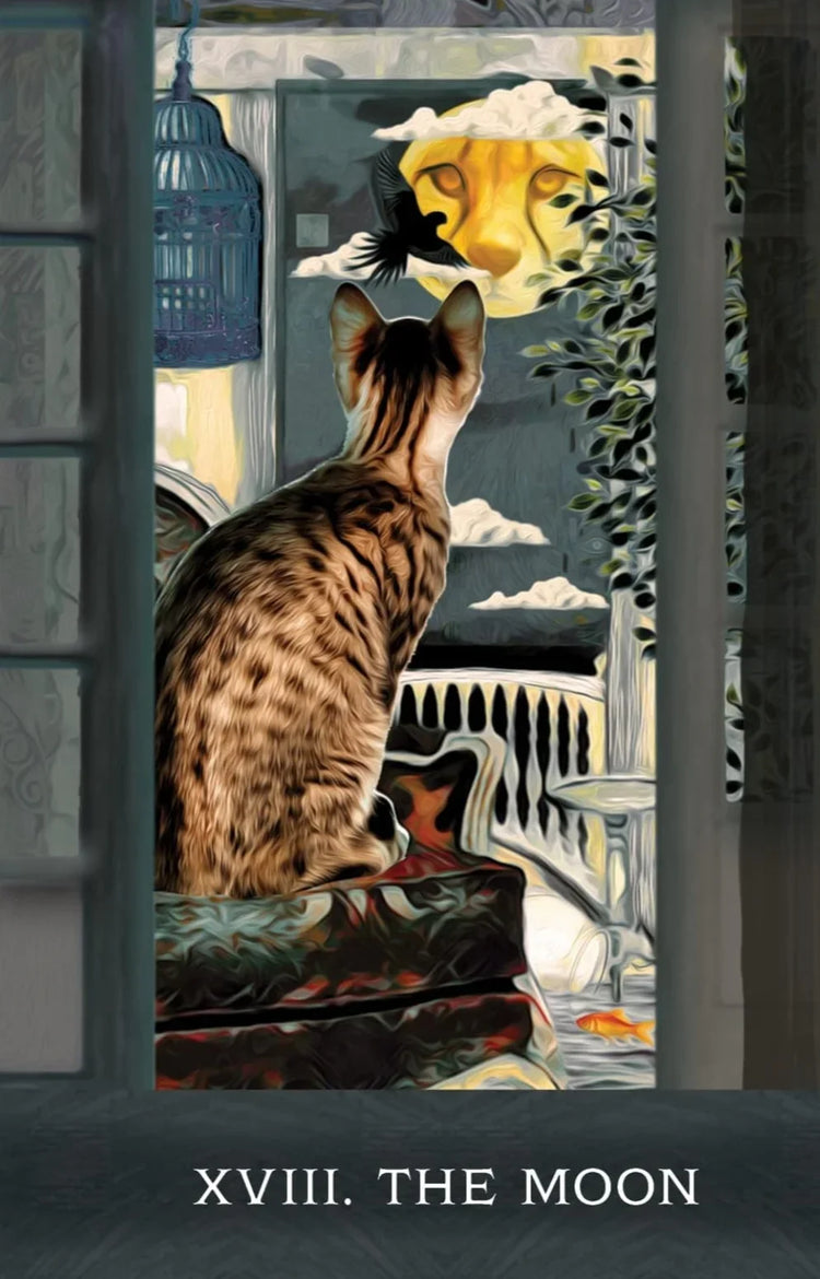 Curious Cats Tarot - Tarot Deck