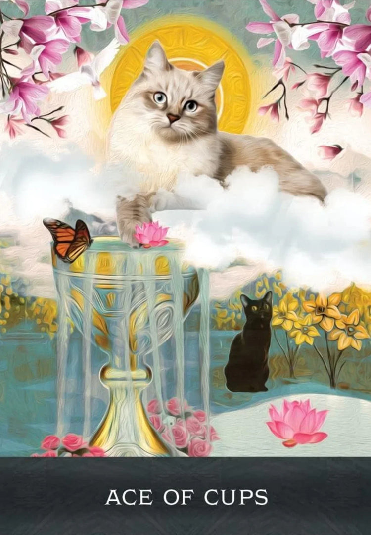 Curious Cats Tarot - Tarot Deck