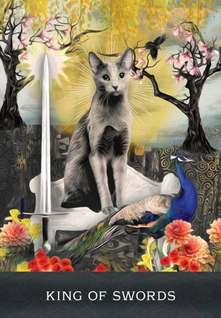 Curious Cats Tarot - Tarot Deck