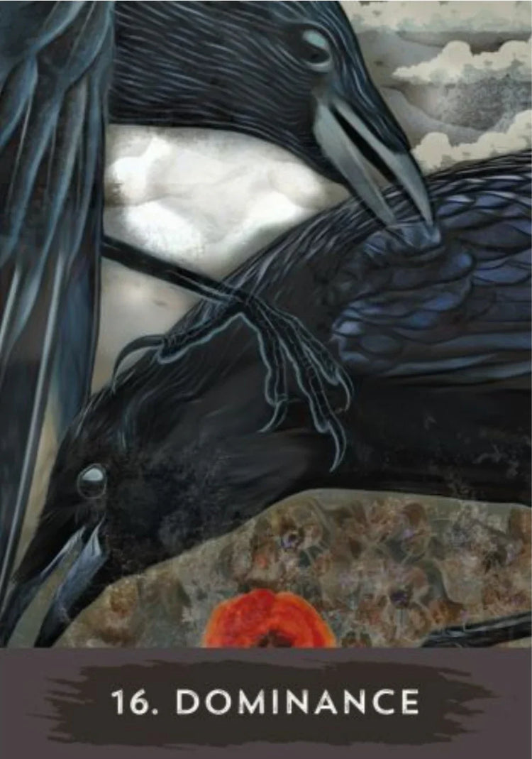 Urban Crow Oracle