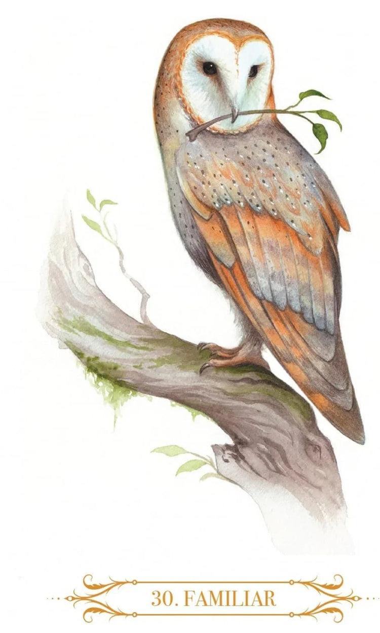 A Compendium of Witches Oracle