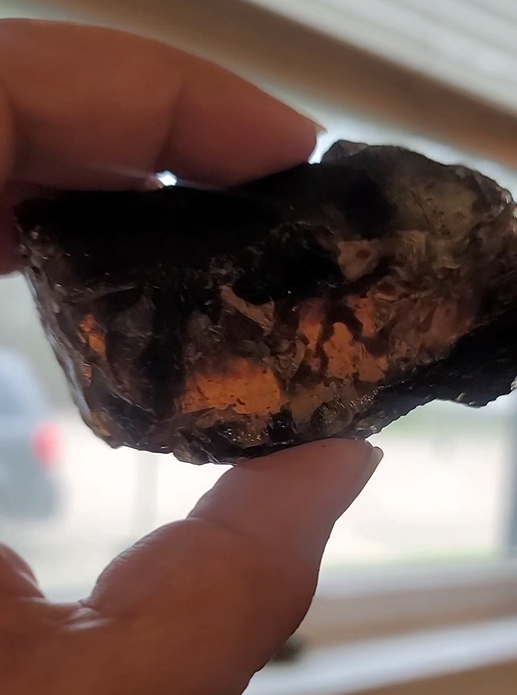 Amber Raw | Vitality, Ancient Protection