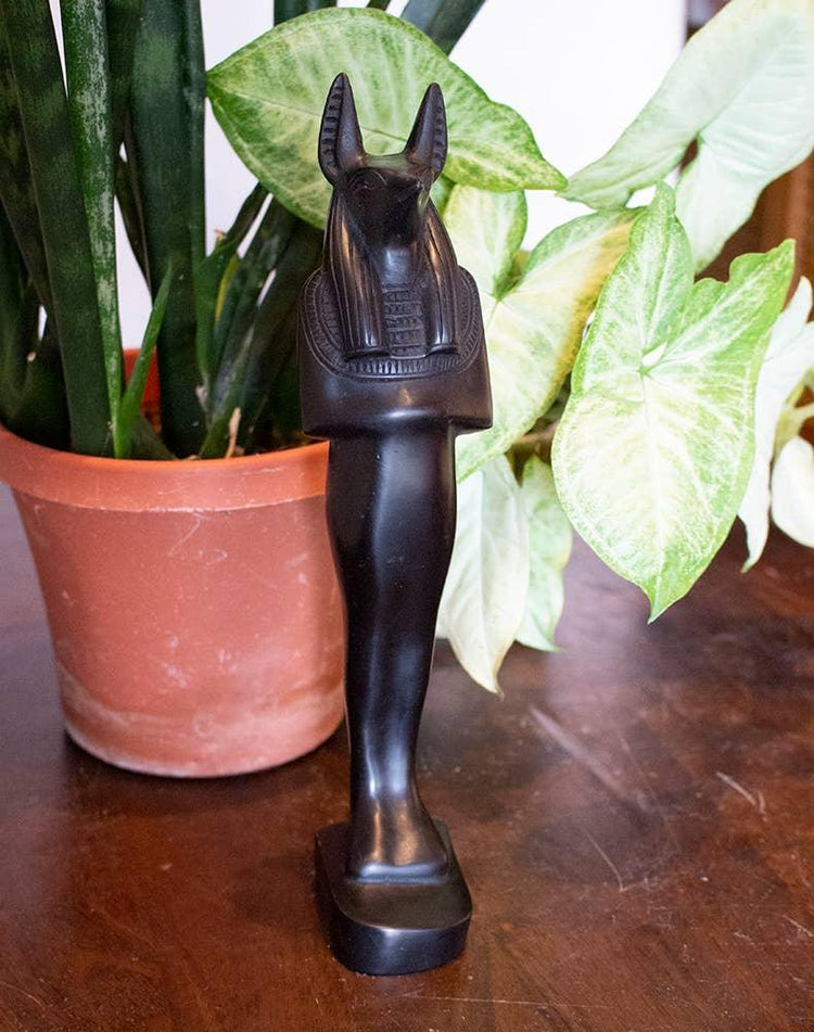 Anubis Mummy Black - 11"