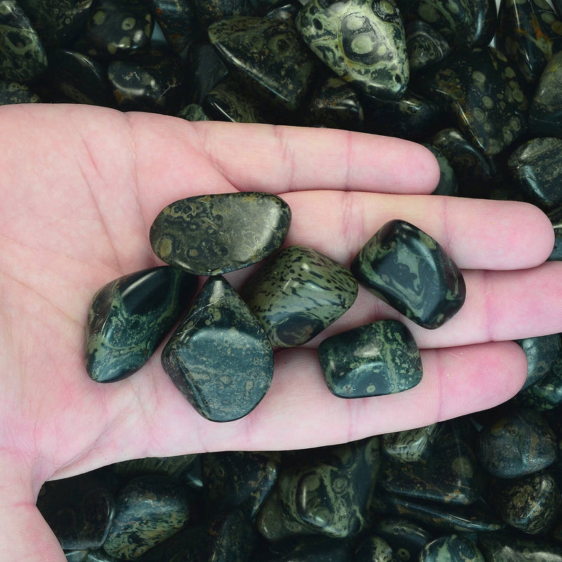 Crocodile Jasper | Primal Strength, Stability