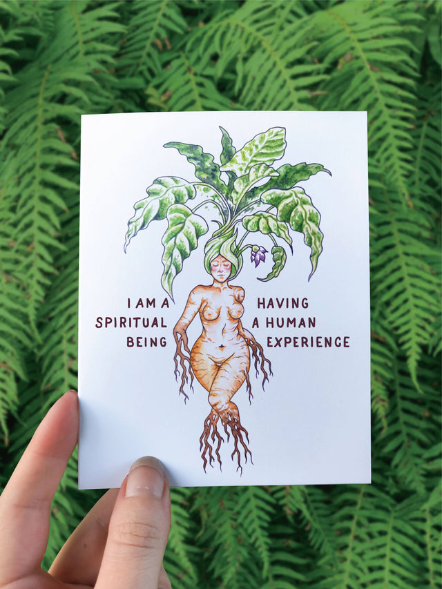 Mandrake Goddess sticker held up against fern leaves
