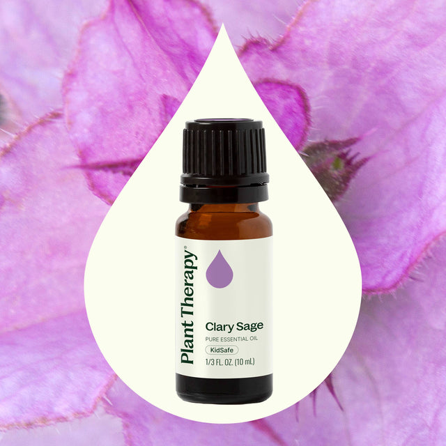 Plant Therapy Clary Sage pure essential oil, KidSafe, 10 mL bottle against purple floral background