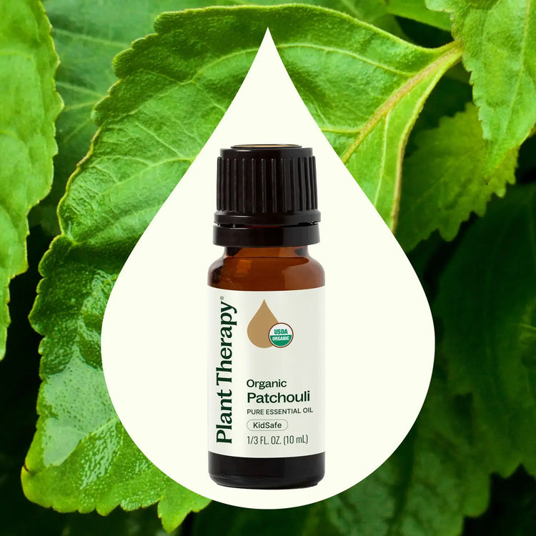 Organic Patchouli Essential Oil 10 mL