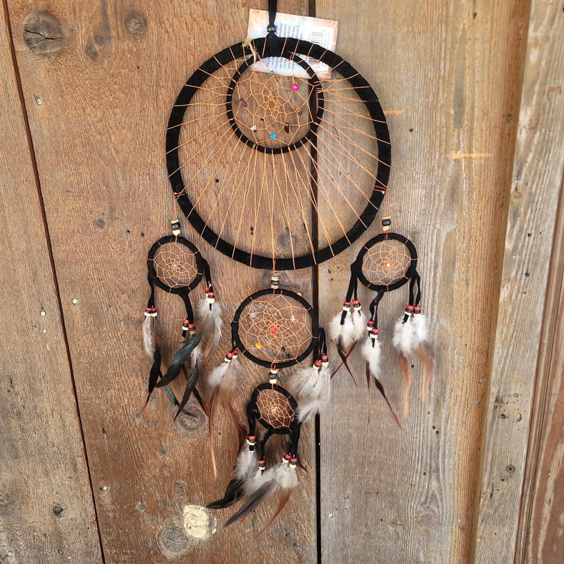 Dreamcatcher Transcendence - Wild Raven