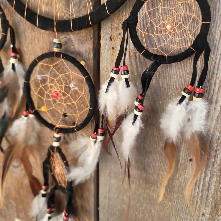 Dreamcatcher Transcendence - Wild Raven