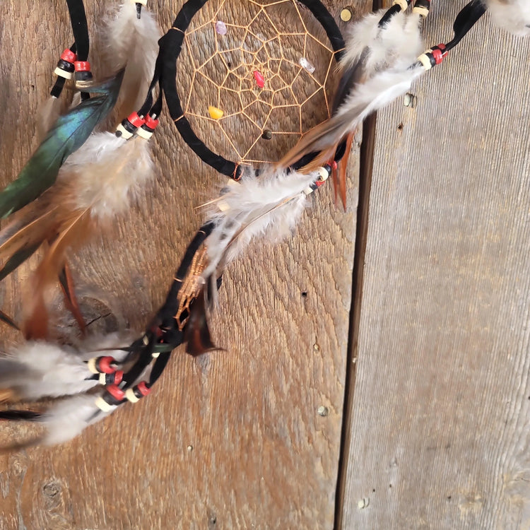 Dreamcatcher Transcendence - Wild Raven