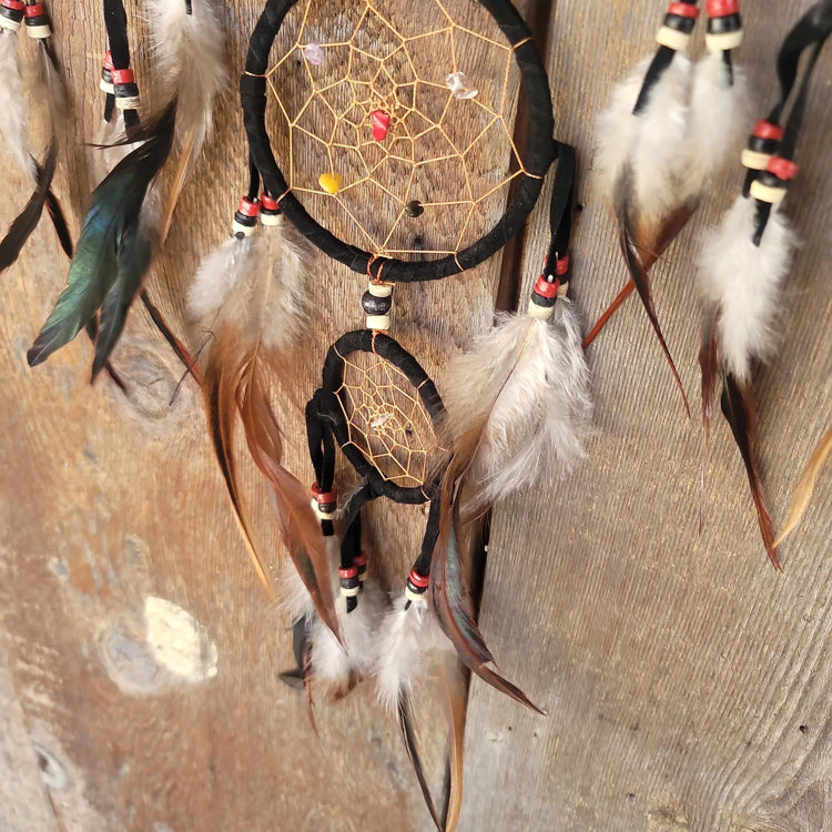 Dreamcatcher Transcendence - Wild Raven