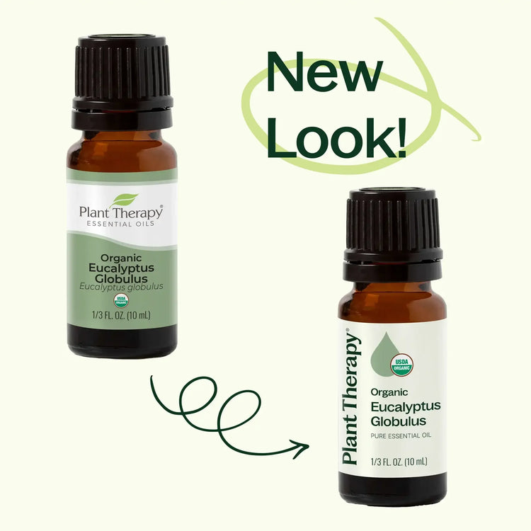 Organic Eucalyptus Globulus Essential Oil 10 mL