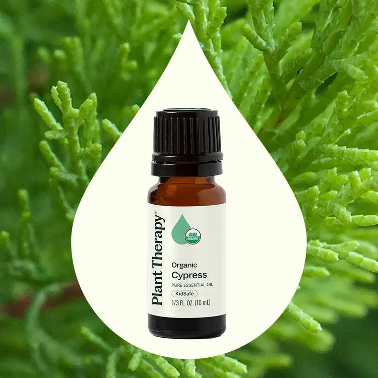 Organic Cypress Essential Oil 10 mL