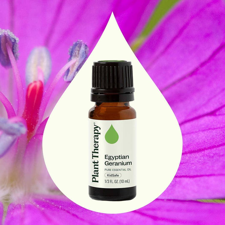 Plant Therapy Egyptian Geranium essential oil bottle with pink flower background