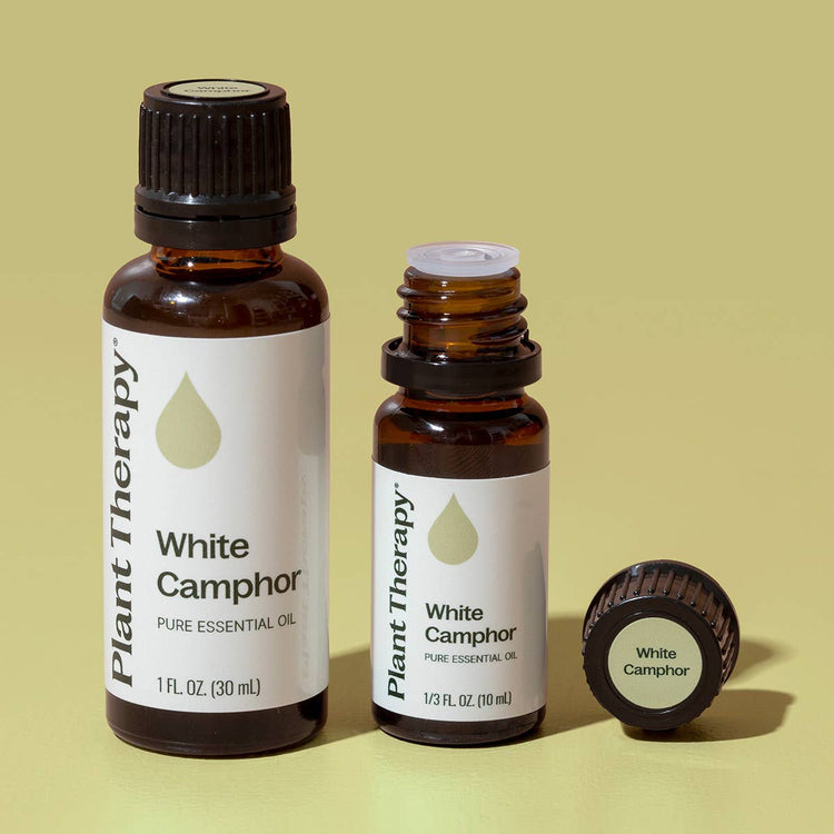 White Camphor Essential Oil 10mL