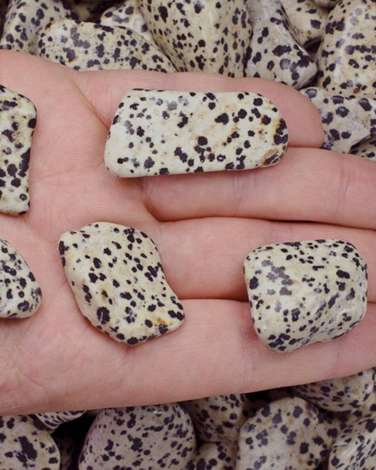 Dalmatian Jasper Tumbled | Joy + Loyalty