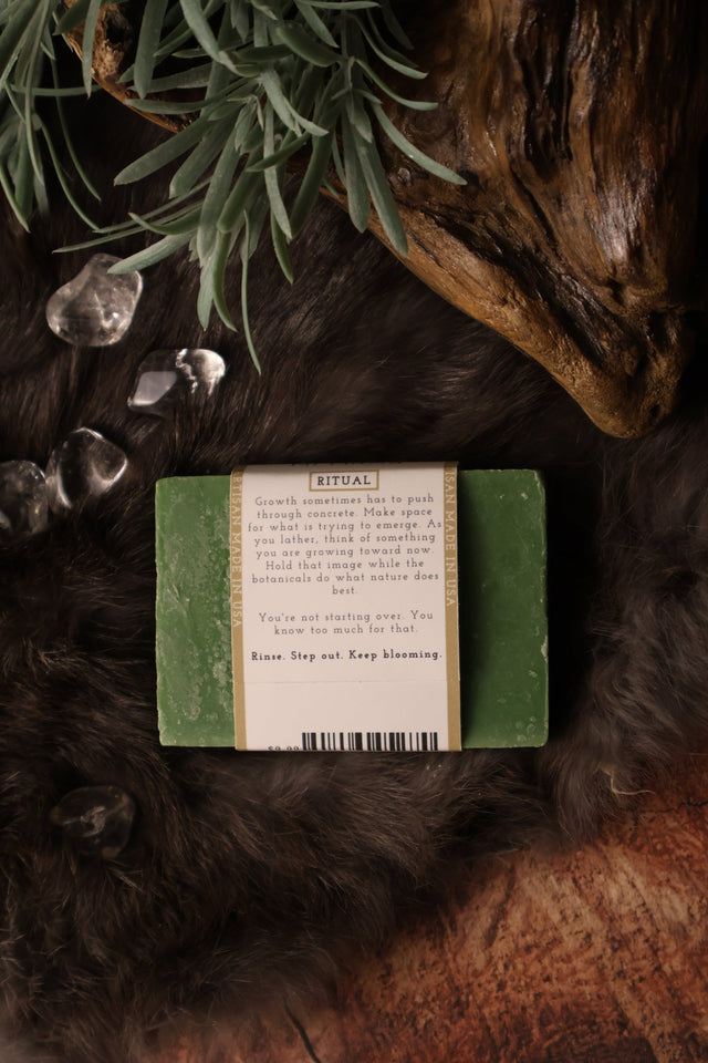 Even in Arcadia Artisan Soap Bar | Renewal & Growth