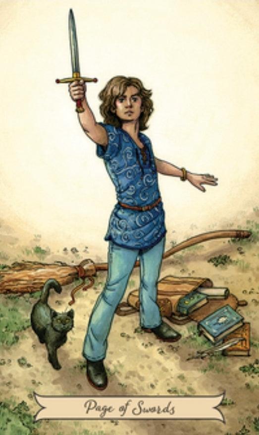 Everyday Witch Tarot MINI - Wild Raven