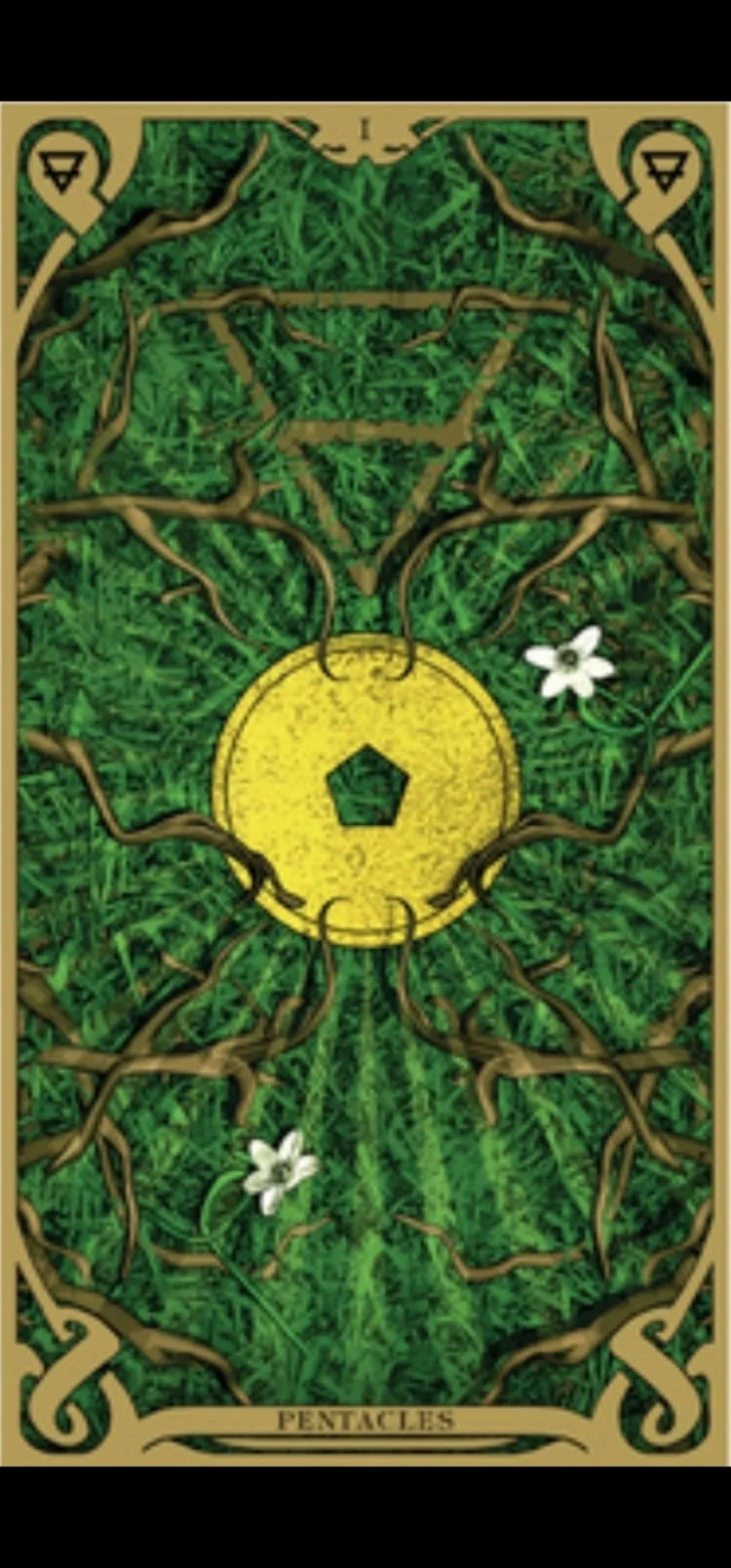 Night Sun Tarot - Wild Raven