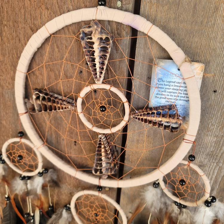 Ocean Spirit - Wild Raven