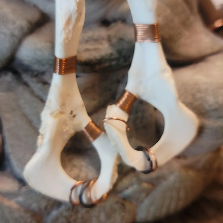 Opossum bone earrings - Wild Raven