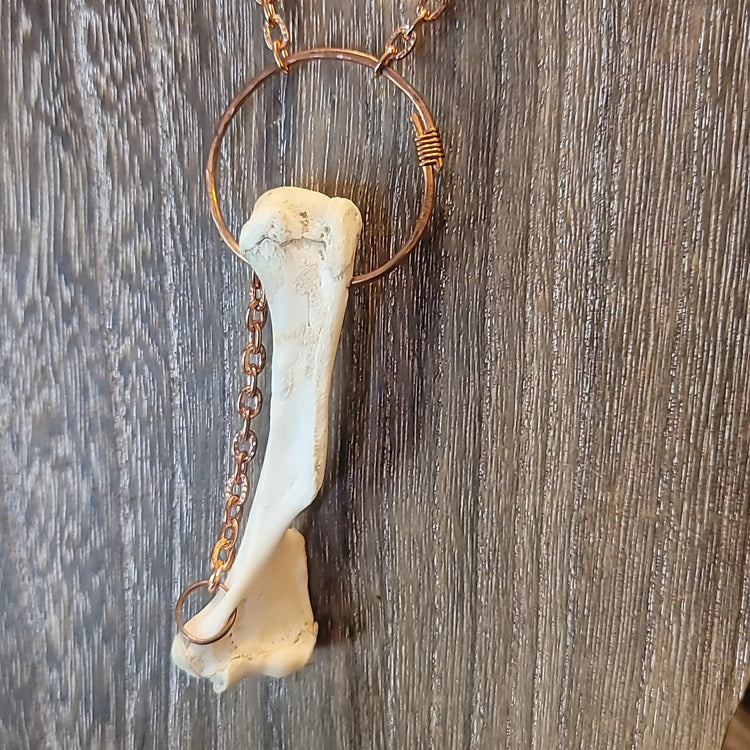 Opossum bone necklace - Wild Raven