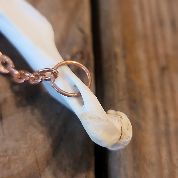 Opossum bone necklace - Wild Raven