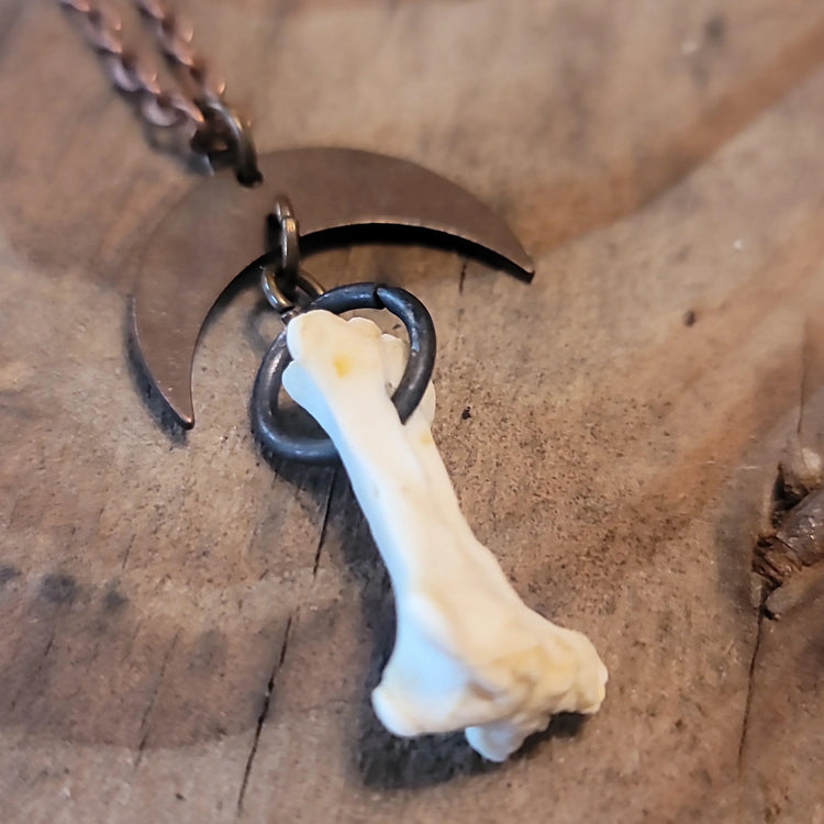 Opossum bone pendant - Wild Raven
