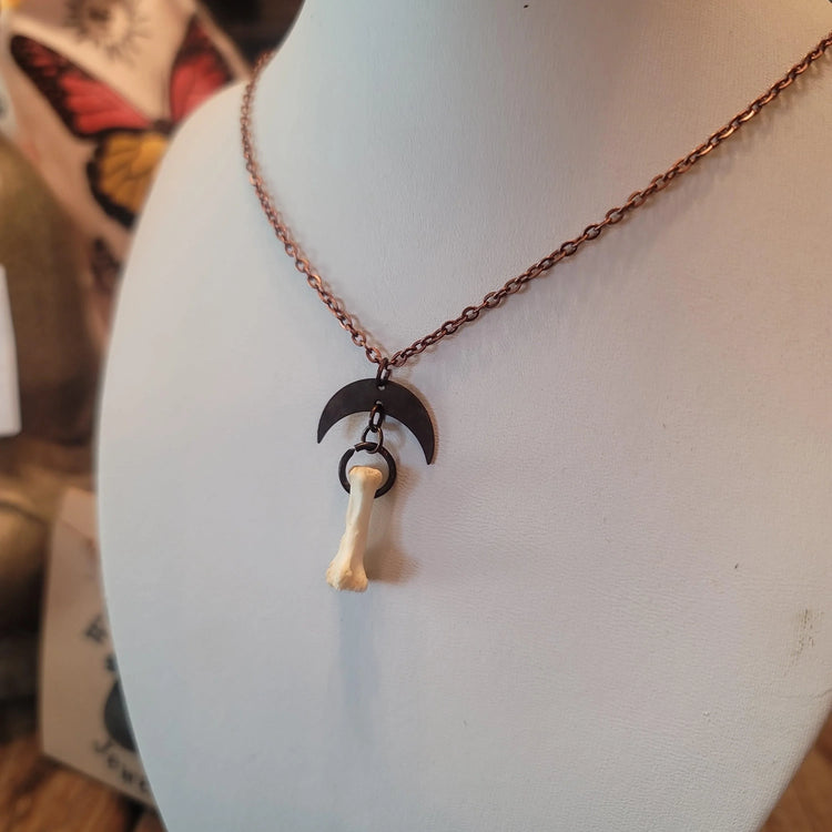 Opossum bone pendant - Wild Raven