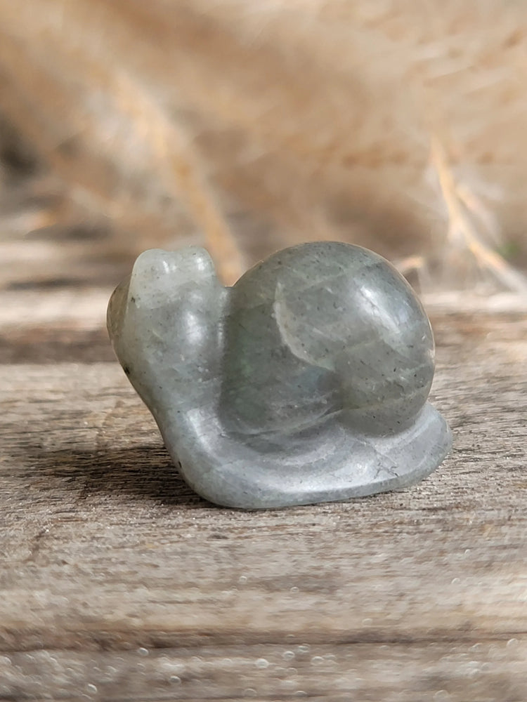 Labradorite Snail