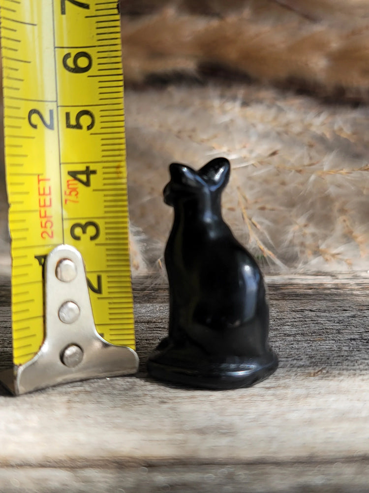 Obsidian Cat