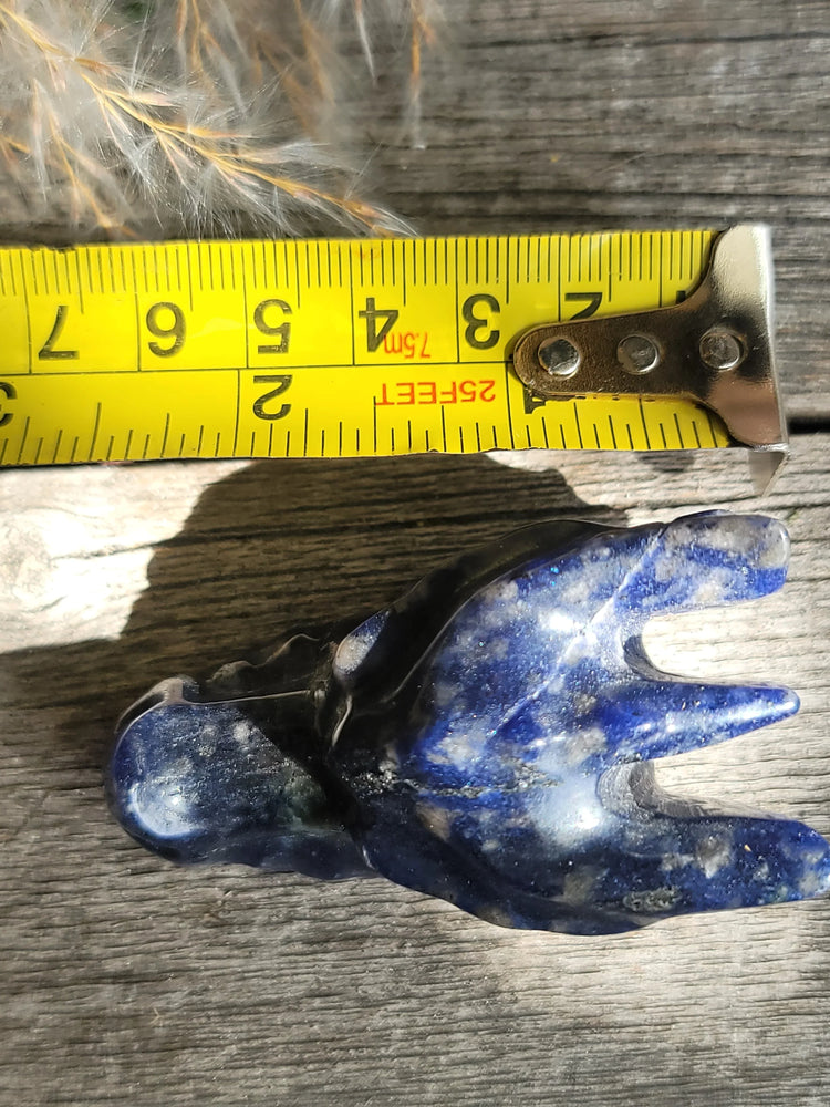 Sodalite Dragon