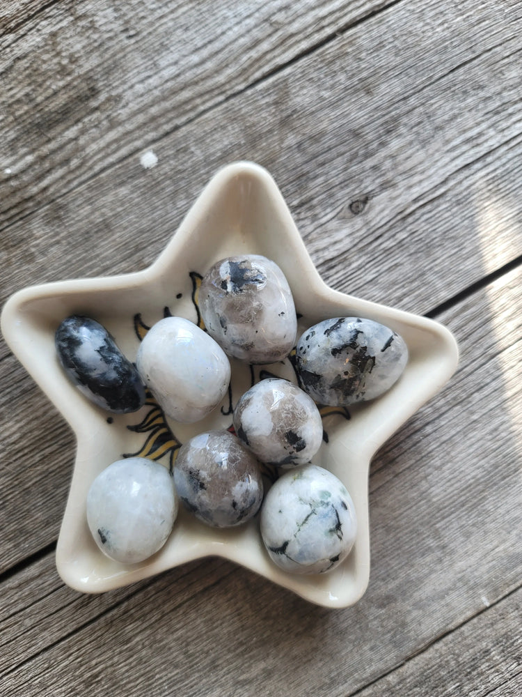 Rainbow Moonstone Tumbled | New Beginnings + Intuition