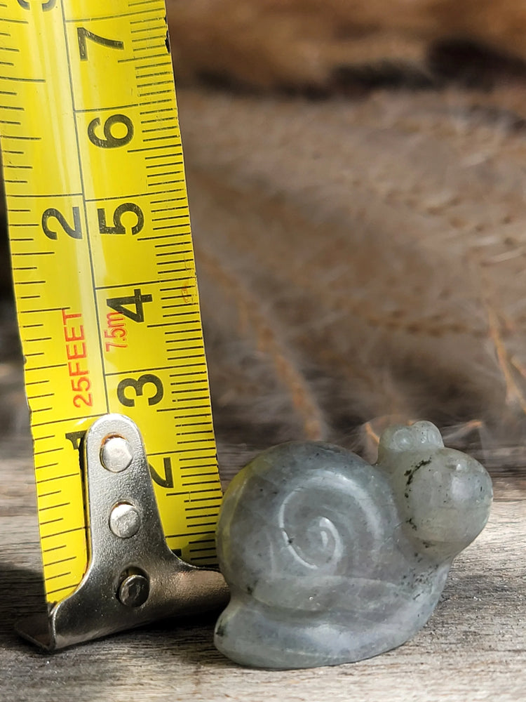 Labradorite Snail