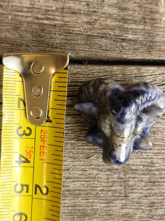 Sodalite Ram