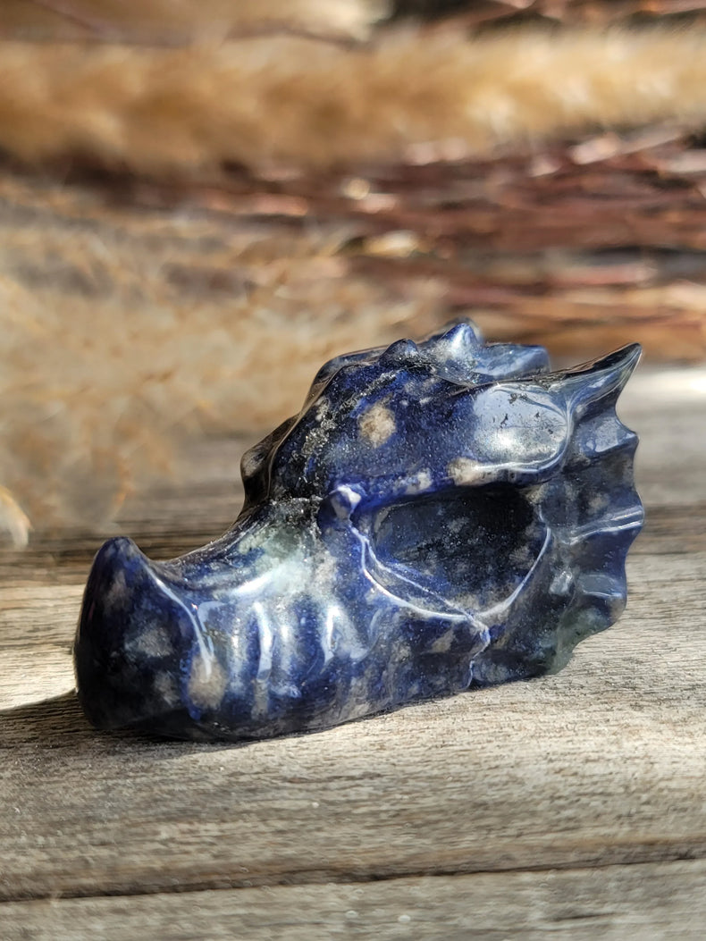 Sodalite Dragon