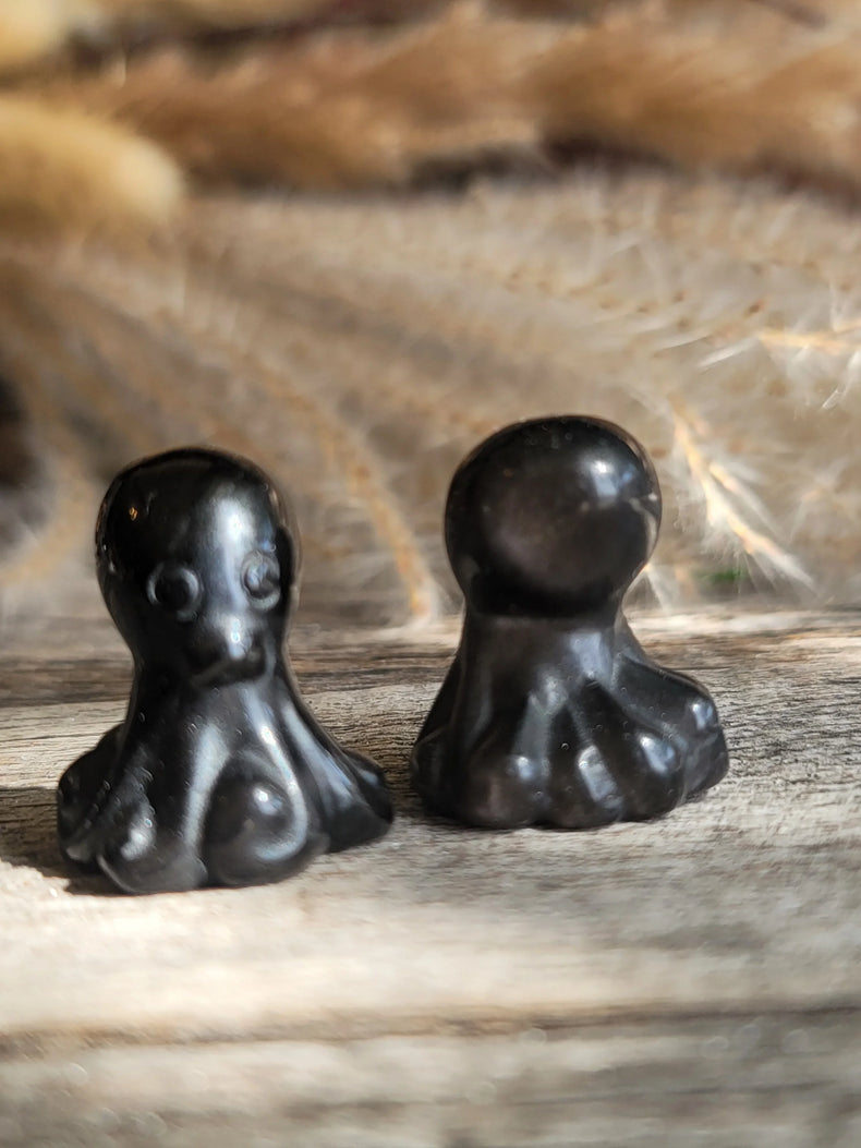 Obsidian Octopus