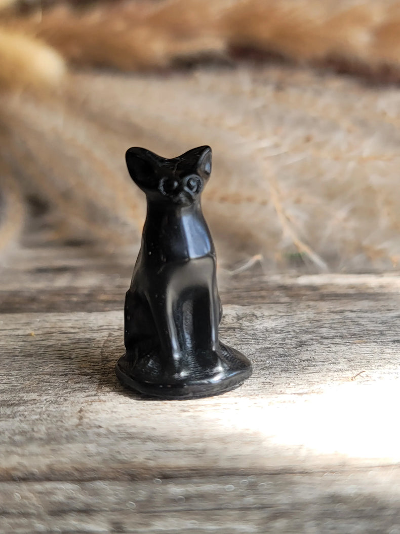 Obsidian Cat